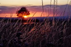 Sonnenuntergang über Erfurt