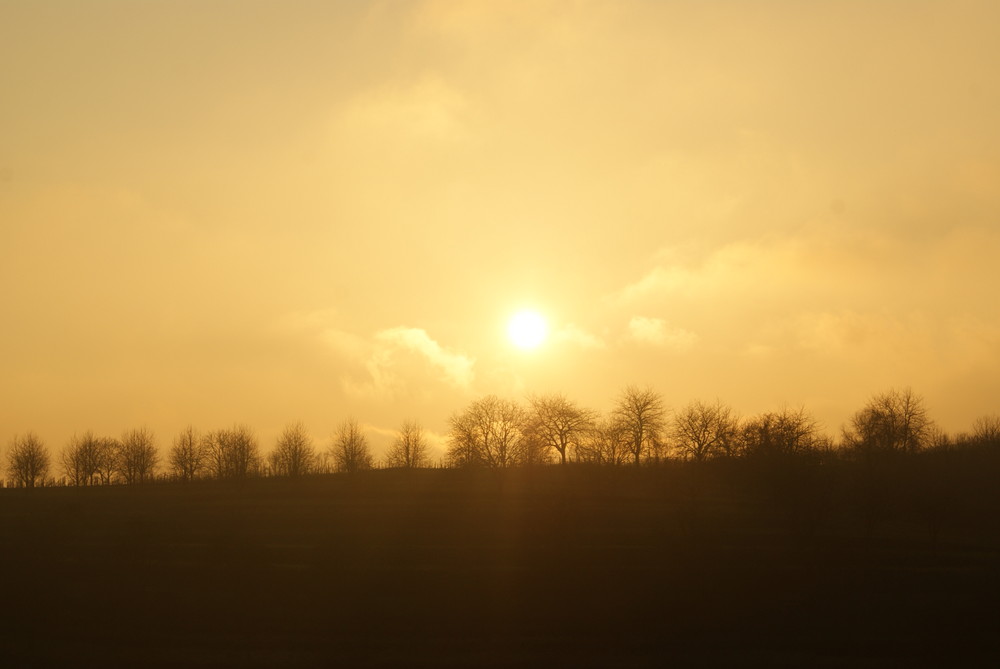 Sonnenuntergang über Ettenheim