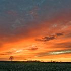 Sonnenuntergang über Feld