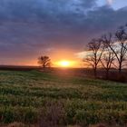 Sonnenuntergang über Feld