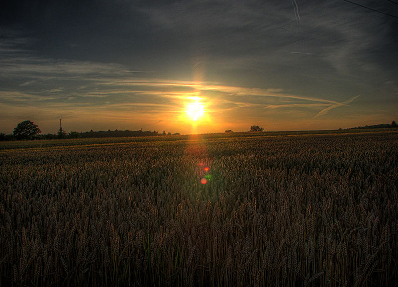 Sonnenuntergang über Feldern