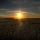 Sonnenuntergang über Feldern