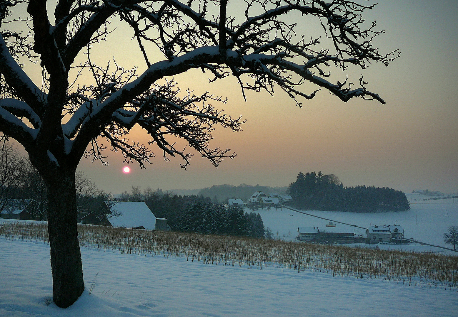 Sonnenuntergang über Freiamt-Mußbach