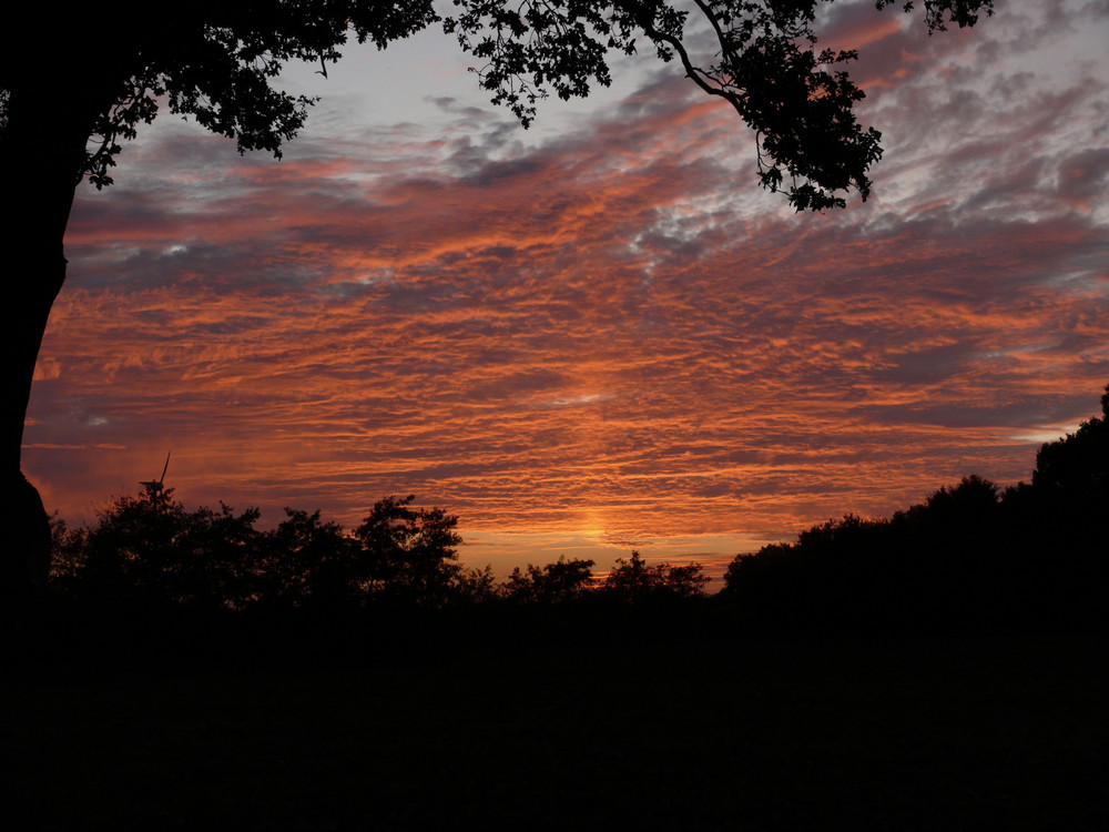 Sonnenuntergang über Häger