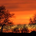 Sonnenuntergang über Haldensleben(weitere 10 min später)