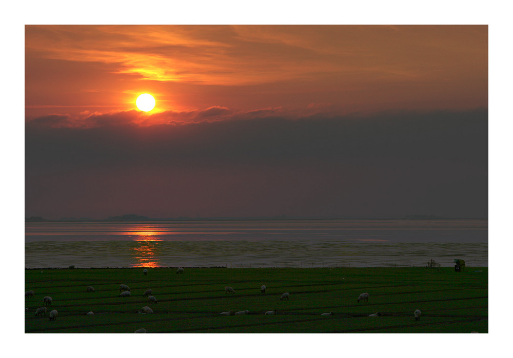 Sonnenuntergang über Hallig Hooge