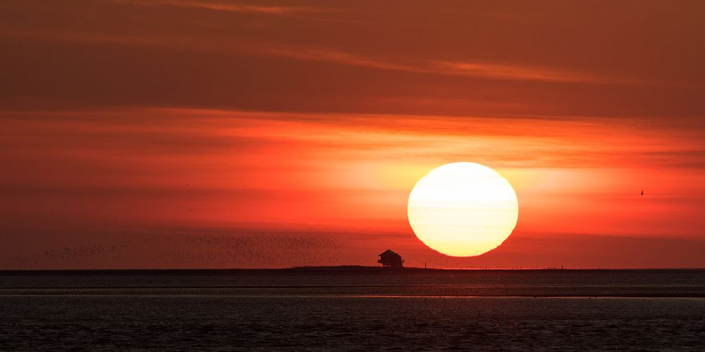 Sonnenuntergang über Hallig Norderoog