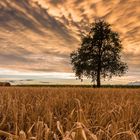 Sonnenuntergang über Hechingen.