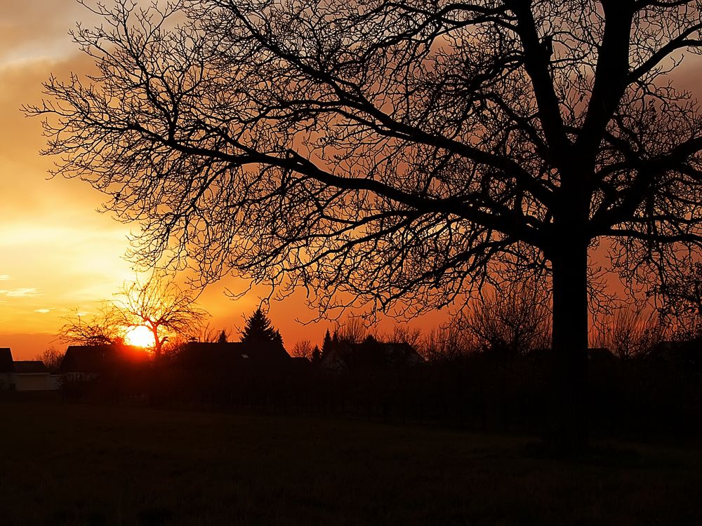 Sonnenuntergang über Heitersheim