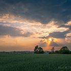 Sonnenuntergang über Hellerau (Dresden)