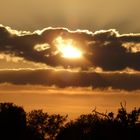 Sonnenuntergang über HH-Vierlande