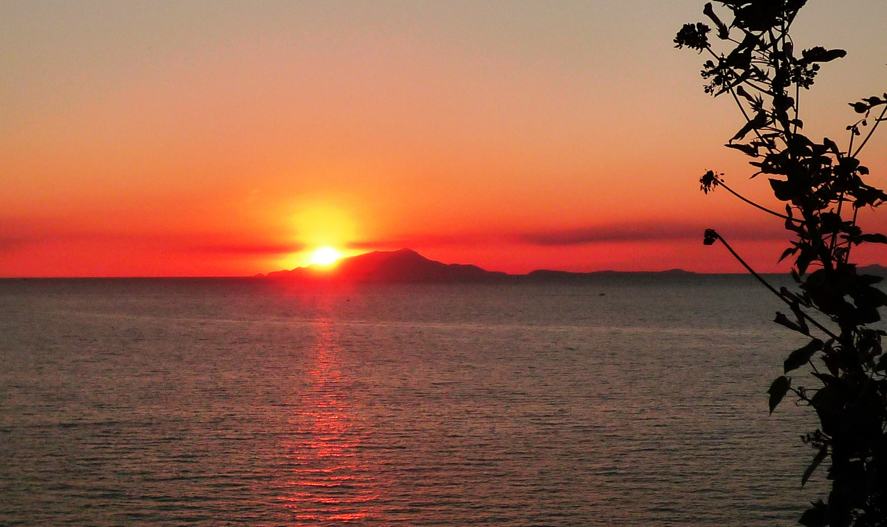 Sonnenuntergang über Ischia