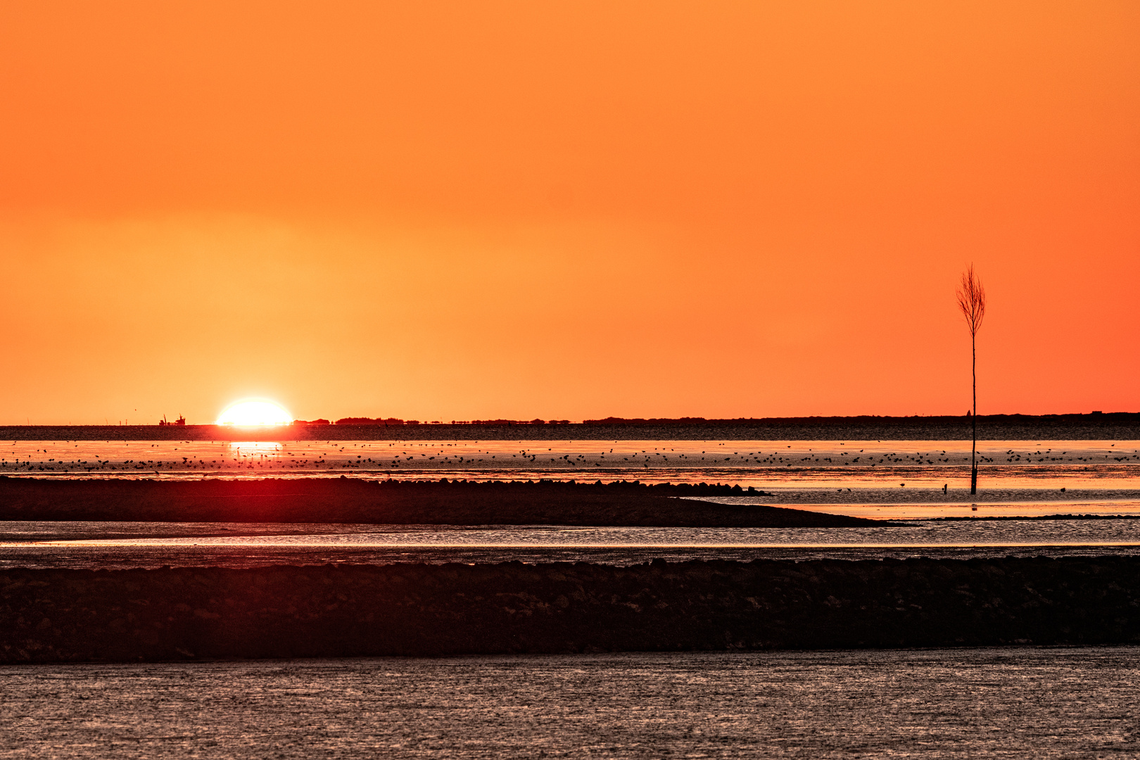 Sonnenuntergang über Juist