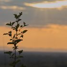 Sonnenuntergang über Karlsruhe und der Pfalz