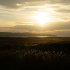 Sonnenuntergang über Klein Zicker (Rügen) 