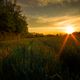 Sonnenuntergang ber Kornfeld