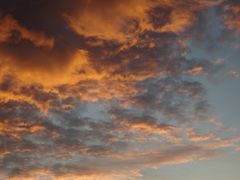 Sonnenuntergang über Münster-Gievenbeck