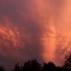 Sonnenuntergang über Münster in Westfalen