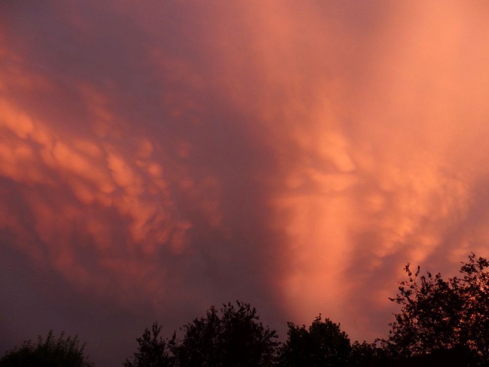 Sonnenuntergang über Münster in Westfalen