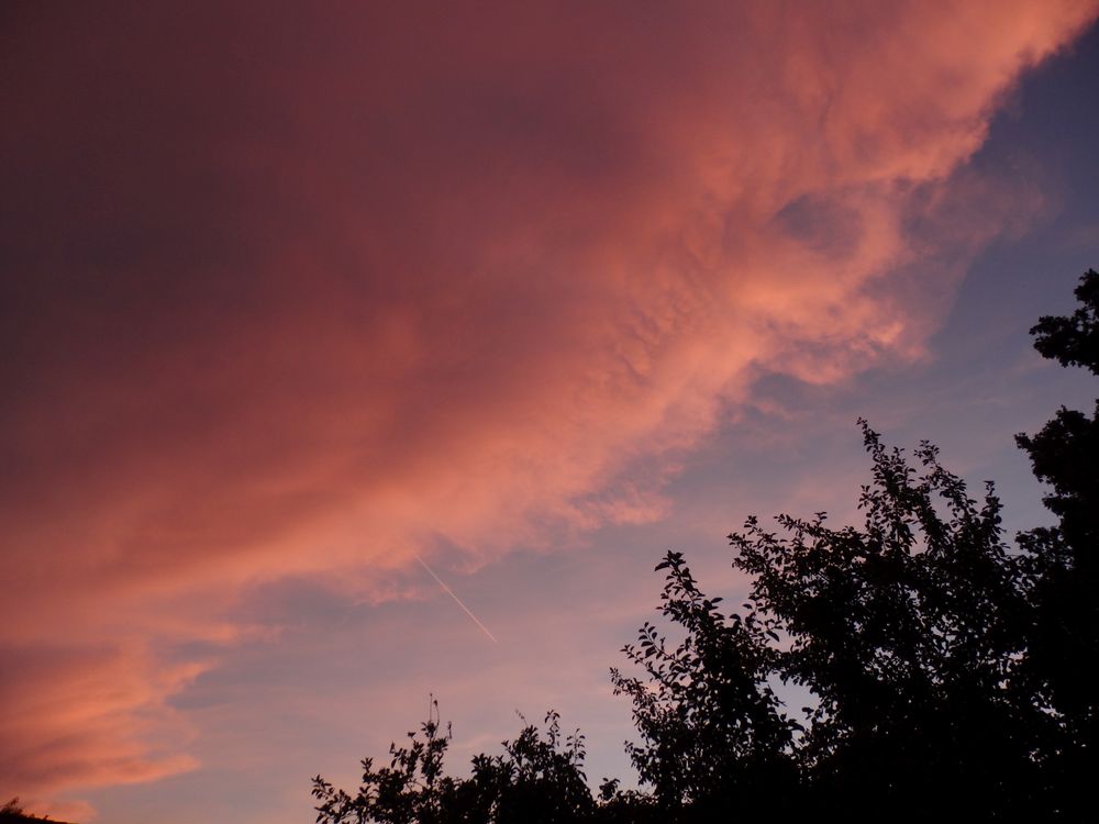 Sonnenuntergang über Münster in Westfalen