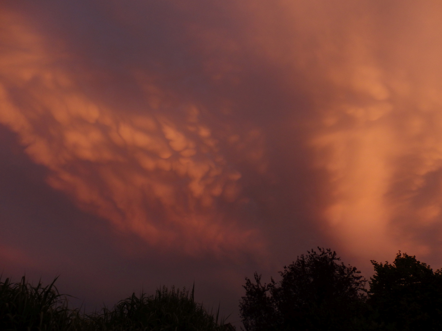 Sonnenuntergang über Münster in Westfalen