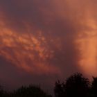 Sonnenuntergang über Münster in Westfalen