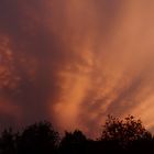 Sonnenuntergang über Münster in Westfalen