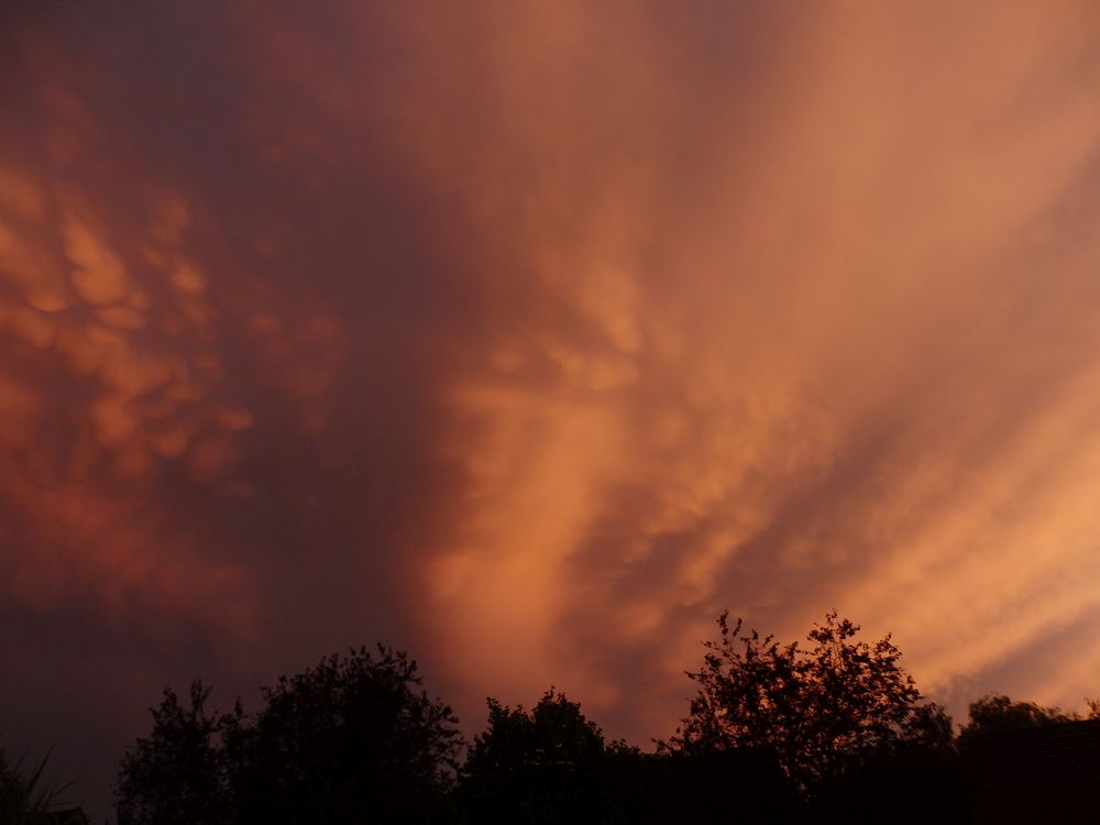 Sonnenuntergang über Münster in Westfalen