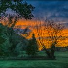 Sonnenuntergang über Nachbars Wiese - Coucher de soleil sur le pré du voisin