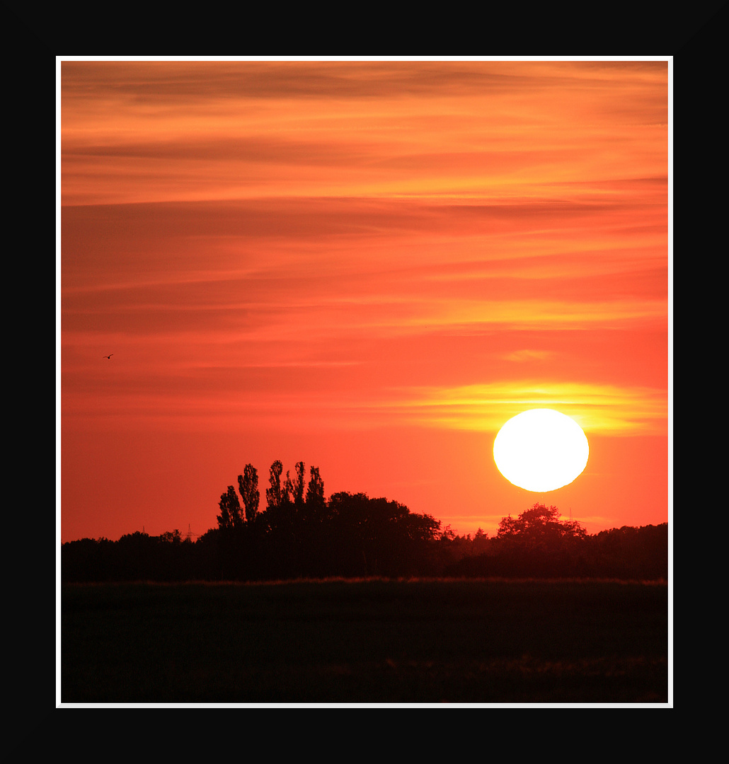 Sonnenuntergang über Neuenkirchen