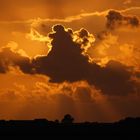 Sonnenuntergang über Neufelderkoog