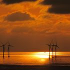 Sonnenuntergang über Öresund