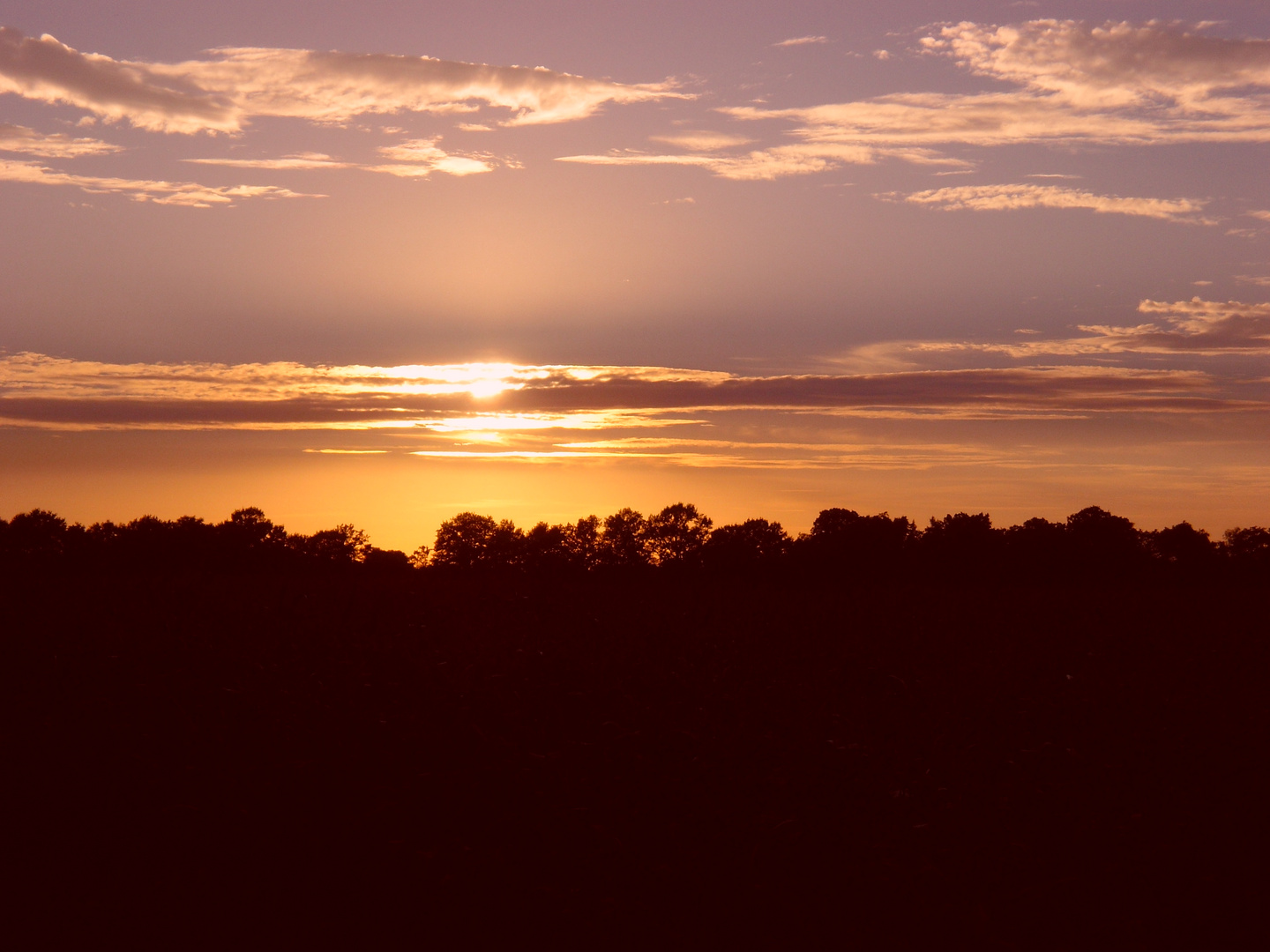 Sonnenuntergang über Oranienburg