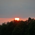 Sonnenuntergang über Pferdekoppel 02