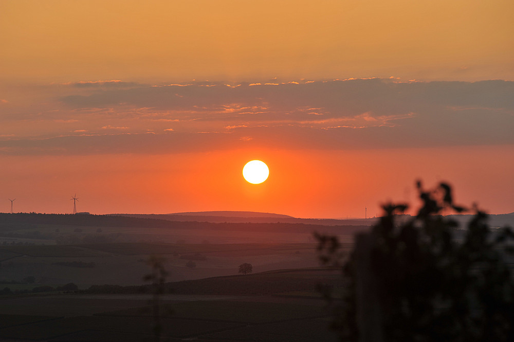 Sonnenuntergang über Rheinhessen