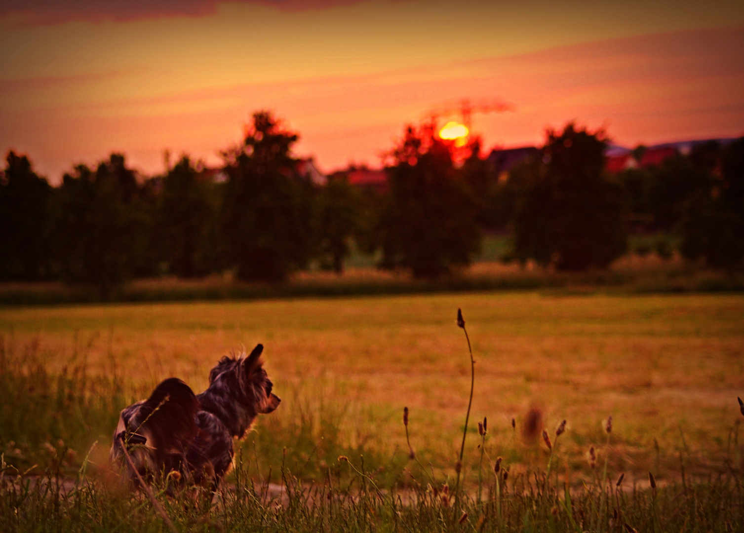 Sonnenuntergang über Rieder