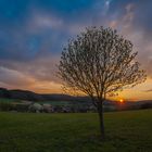 Sonnenuntergang über Rodenhausen