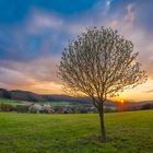 Sonnenuntergang über Rodenhausen 