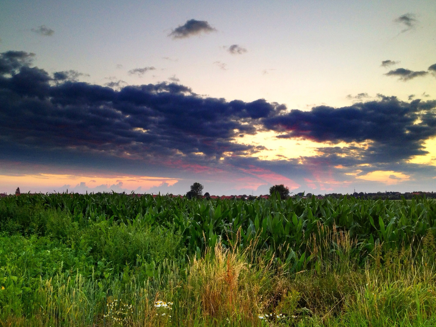 Sonnenuntergang über Sachsenhagen