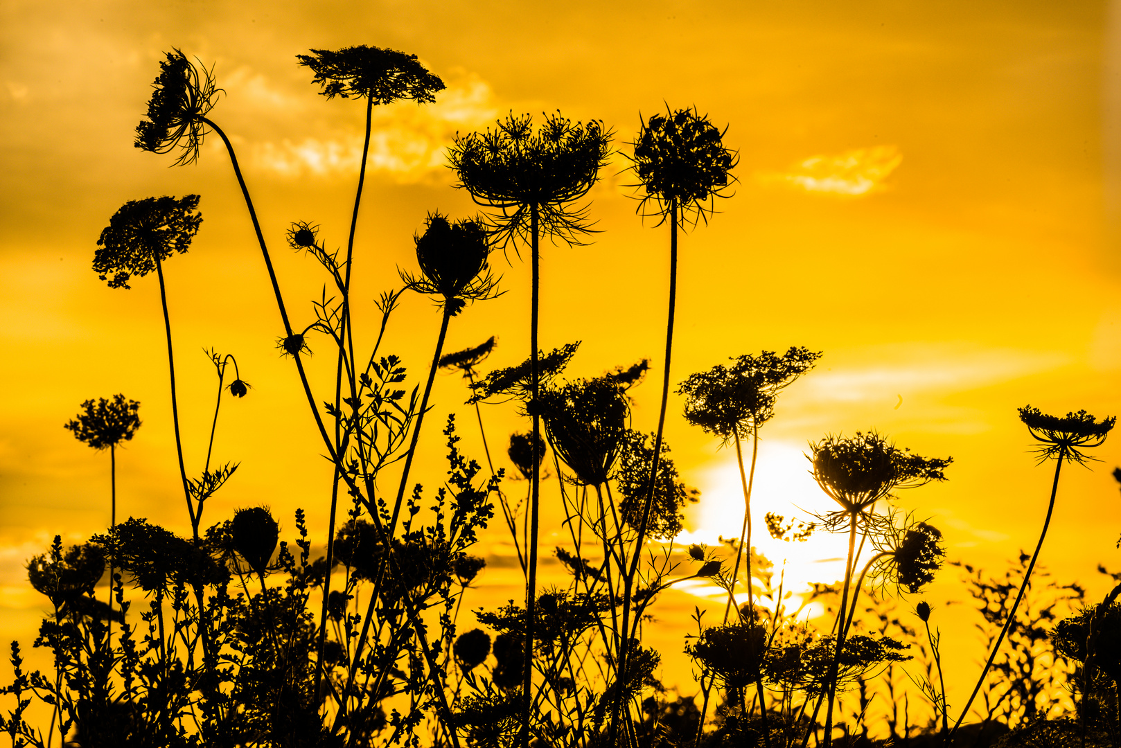 Sonnenuntergang ueber Sandhausen