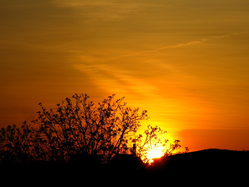 Sonnenuntergang über Sangerhausen - 26. April 2009