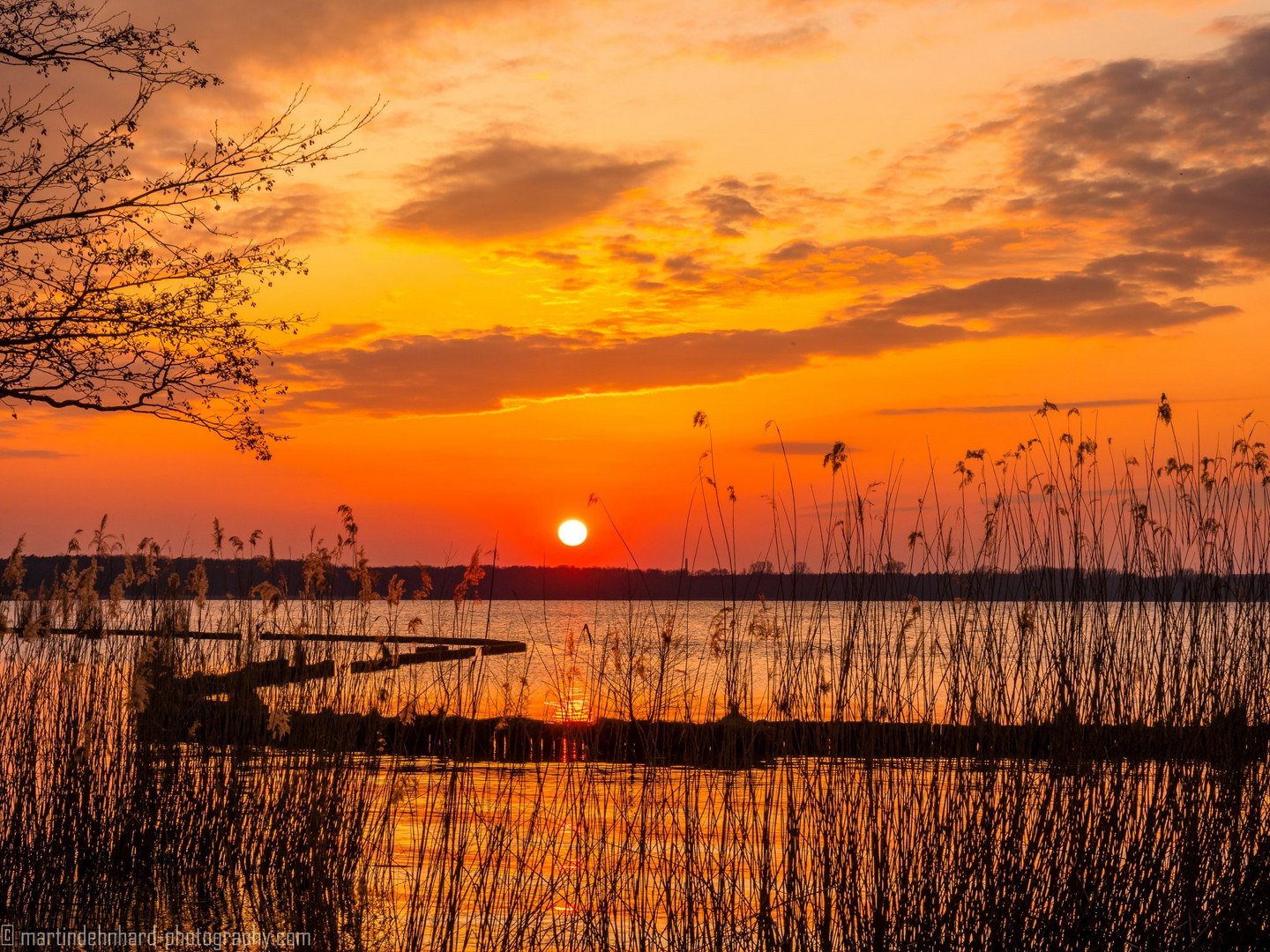 Sonnenuntergang über Schilf und Buhnen