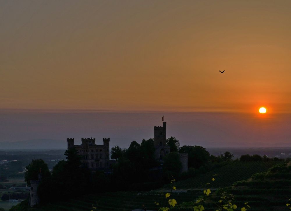 Sonnenuntergang über Schloß Ortenberg