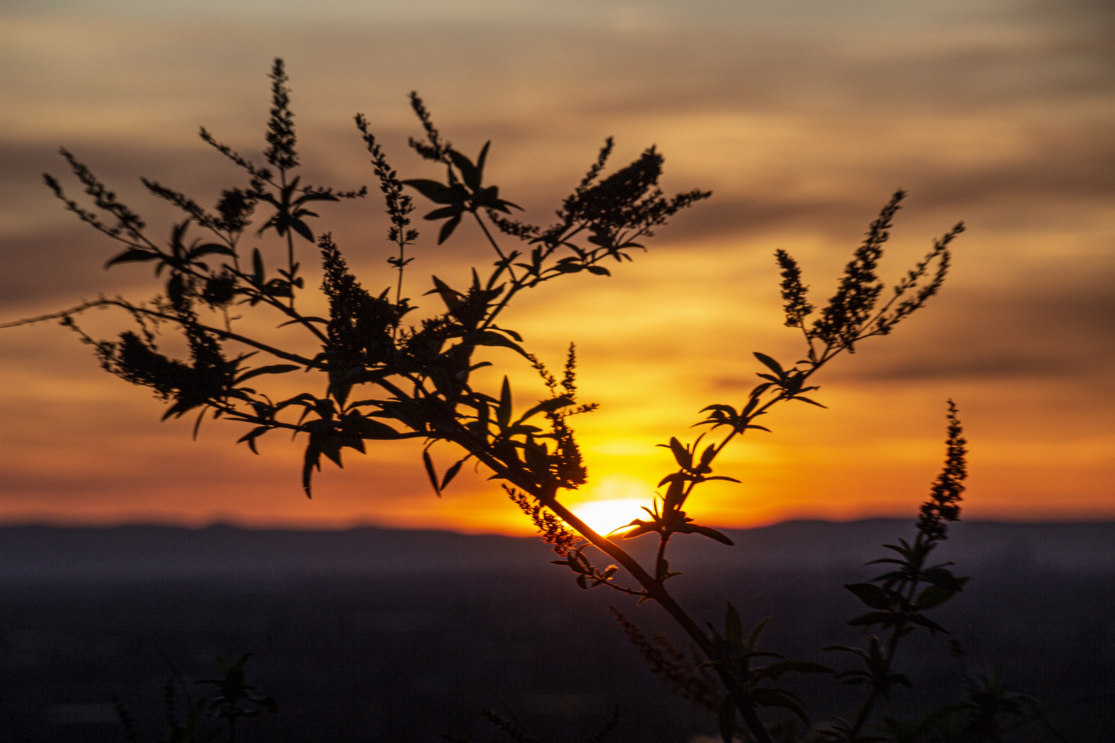 Sonnenuntergang über Schriesheim