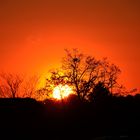 Sonnenuntergang über Schweinfurt