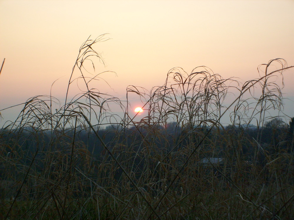 Sonnenuntergang über Trørød