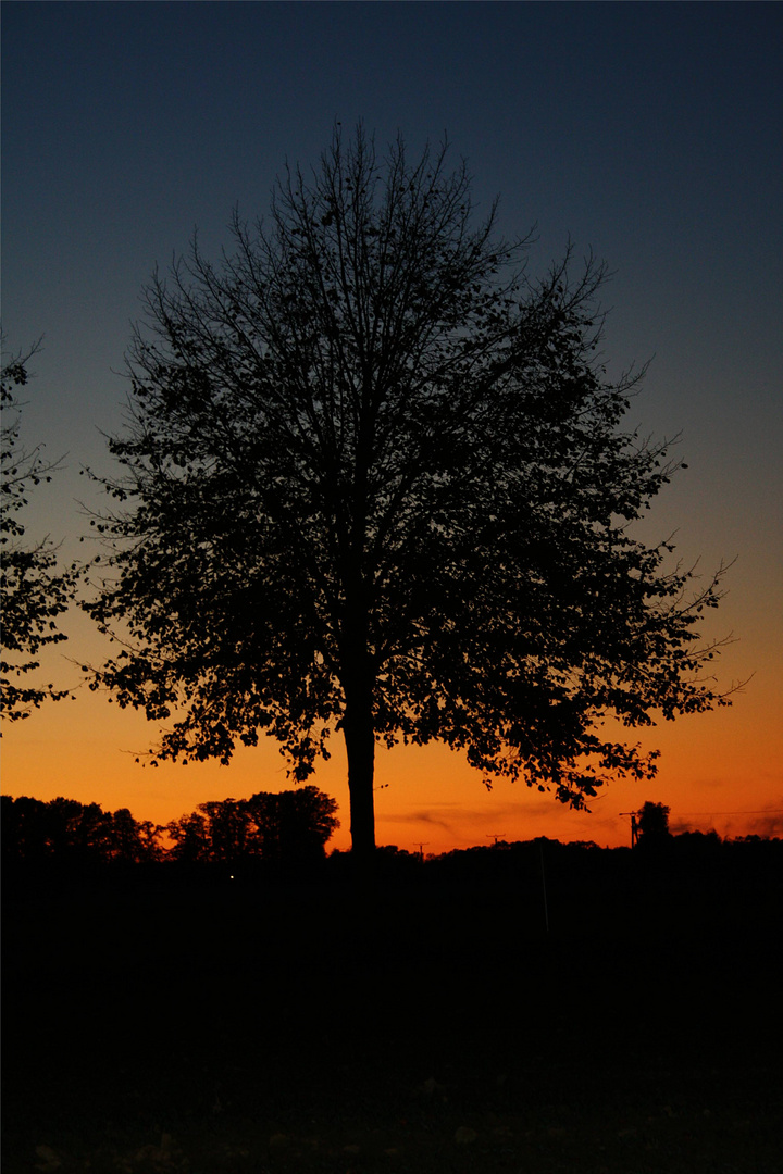 Sonnenuntergang über Tütingen Ankum