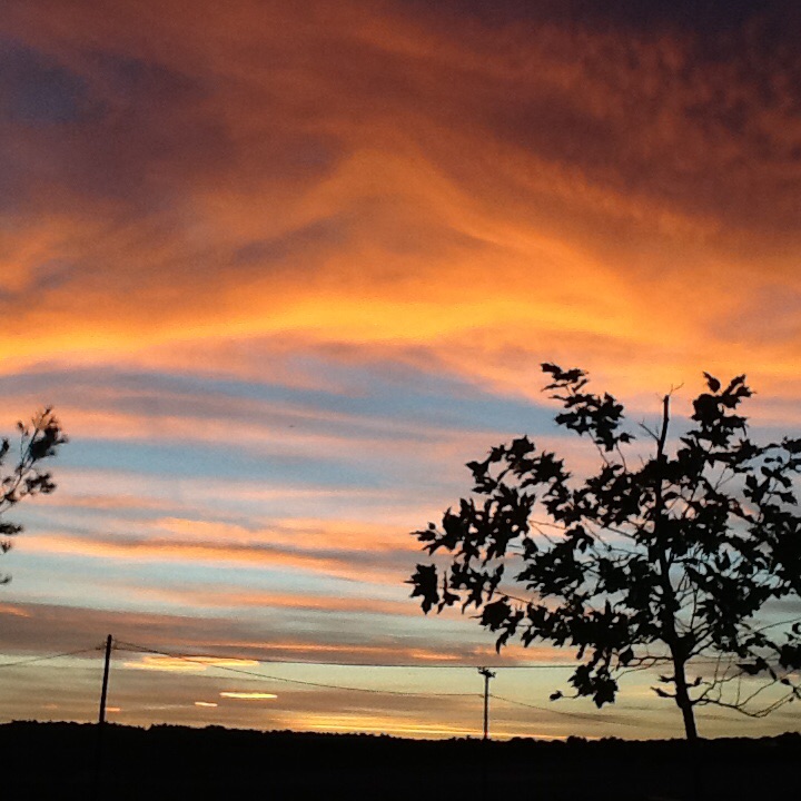 Sonnenuntergang über unserem Grundstück