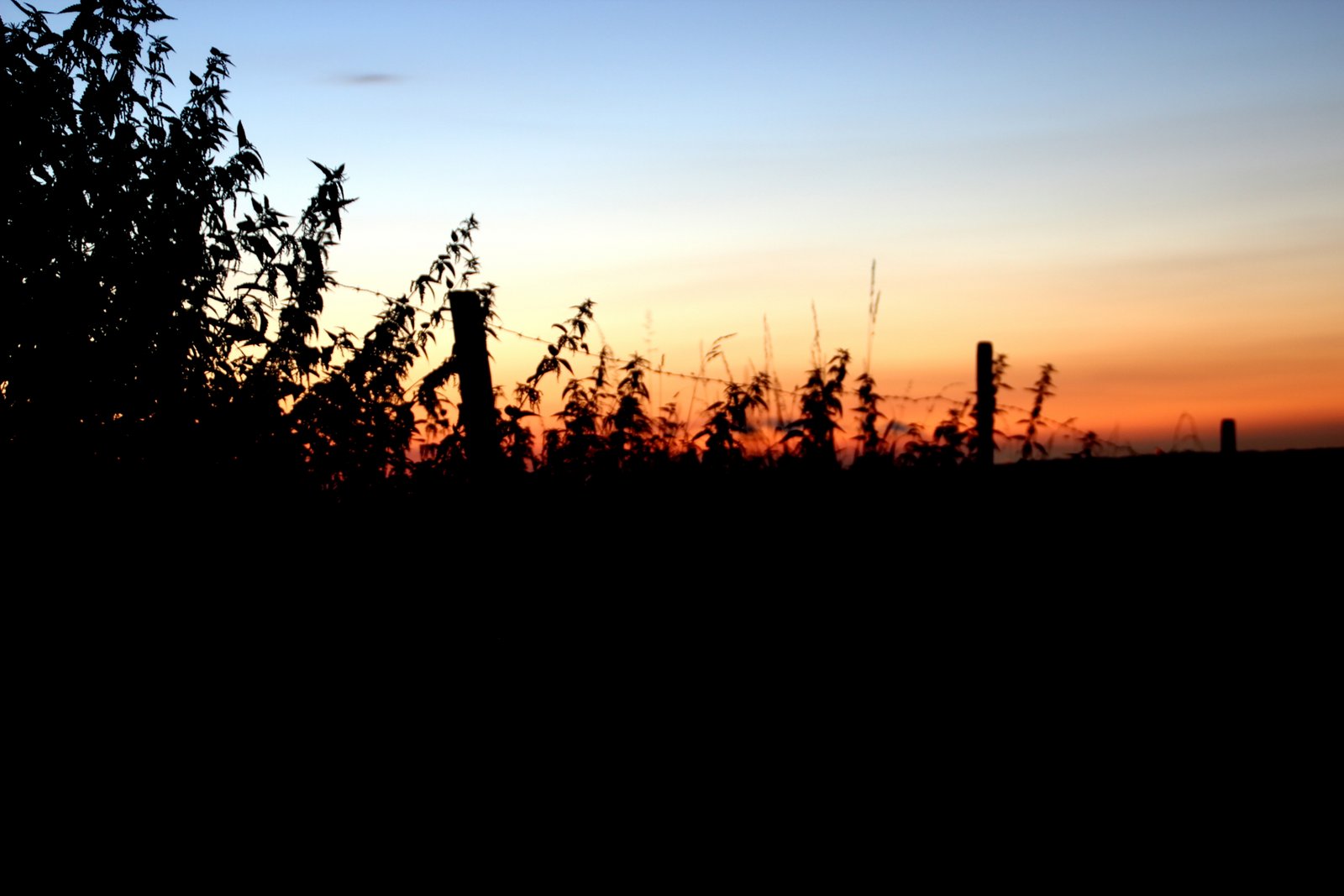 Sonnenuntergang über Wachtberg