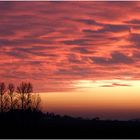 Sonnenuntergang über Wittelsberg